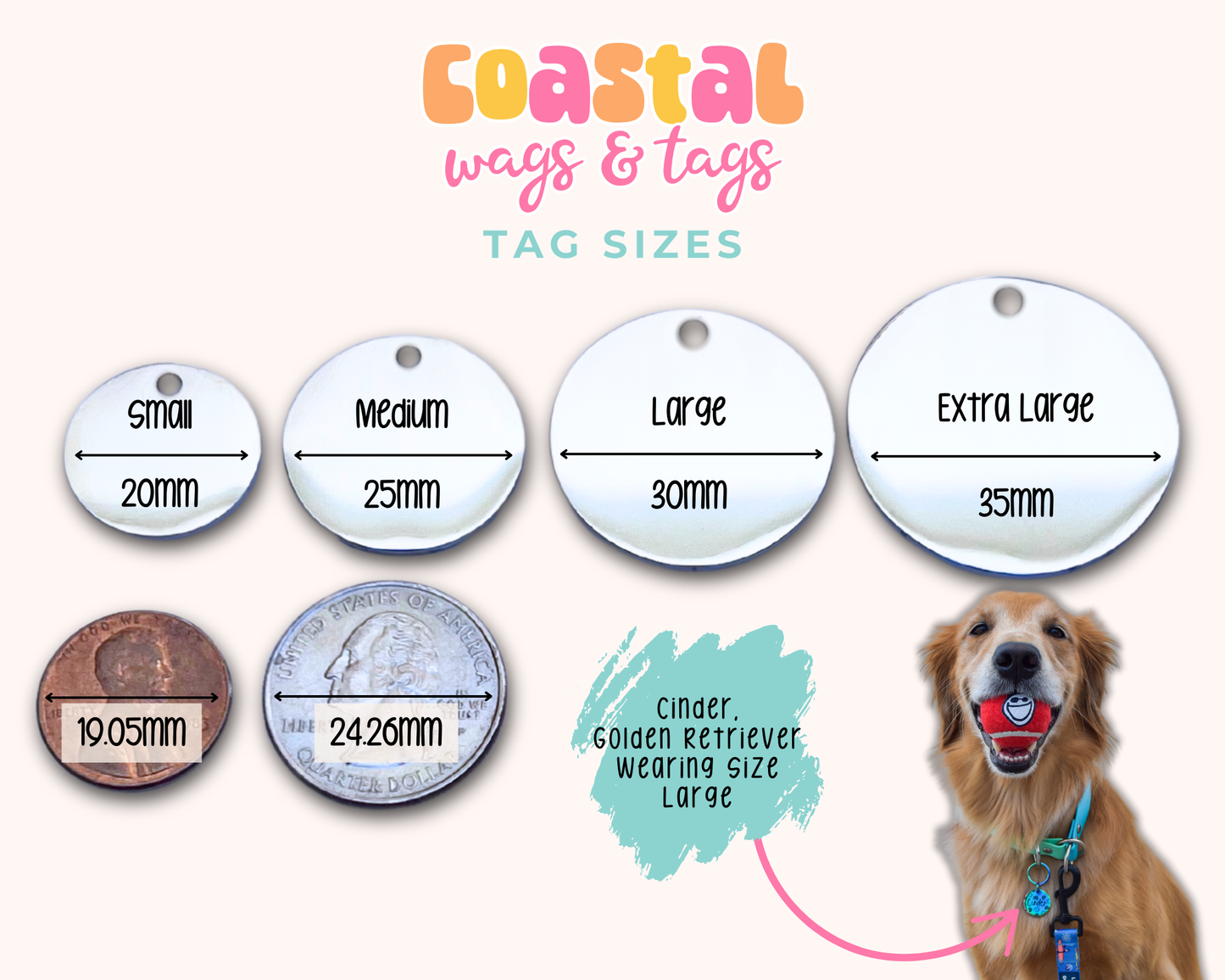 Whale Shark Pet ID Tag