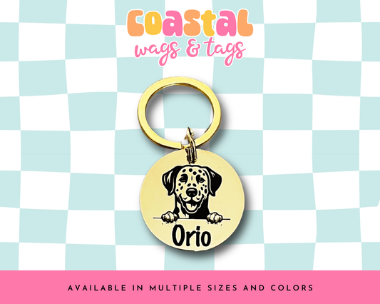 Dog Breed: Dalmation Pet ID Tag